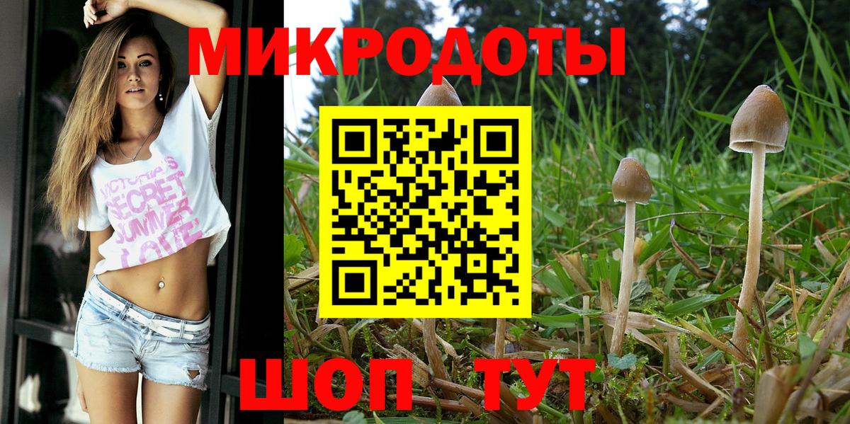 Псилоцибиновые грибы Magic Shrooms Саратов