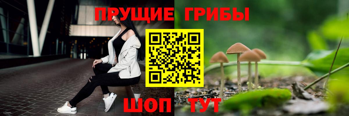 Саратов  Галлюциногенные грибы Cubensis  Вход с VPN  Галлюциногенные грибы Magic Shrooms 